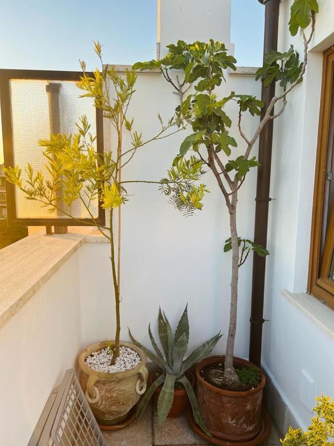 Hotel Ostium Sea Star Lido di Ostia Zewnętrze zdjęcie